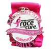 Rennen 2014 um die Cure Woman Healthy Survivor-Medaille (1)